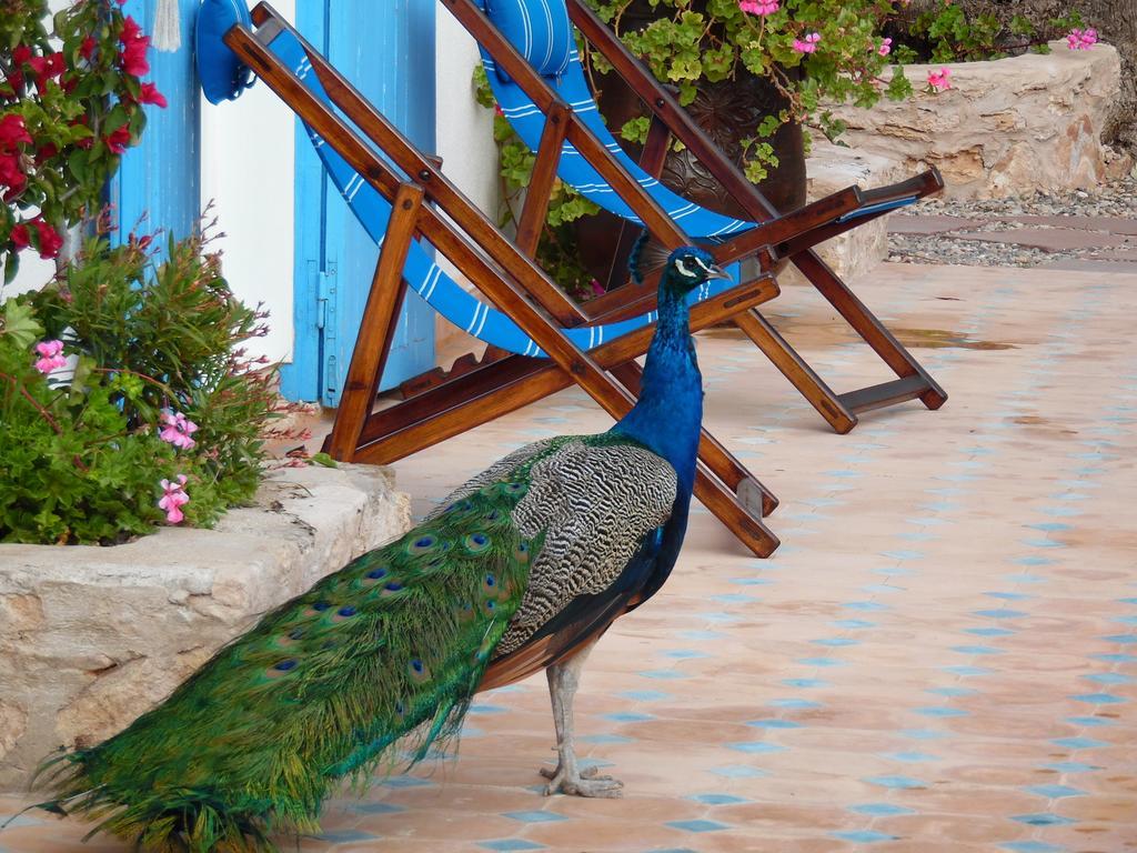 Villa Daba Al Ghar Kültér fotó